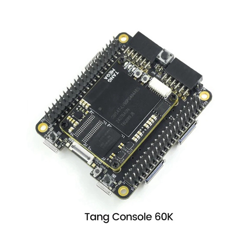 Tang Console 60K 미니 FPGA 개발 보드 - Perfboard 리뷰 및 가격